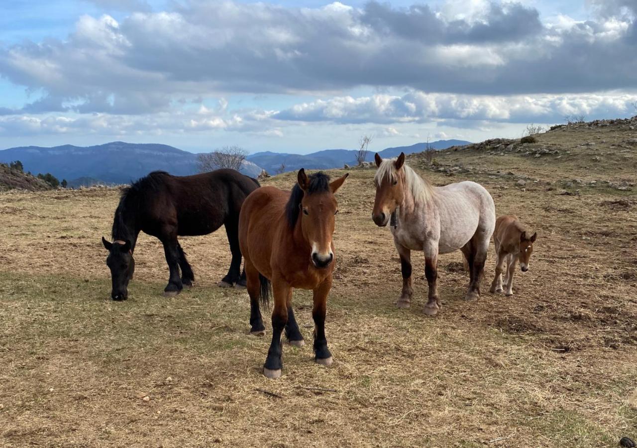 Apartamento Con Encanto En El Pirineo La Pobla de Lillet Esterno foto